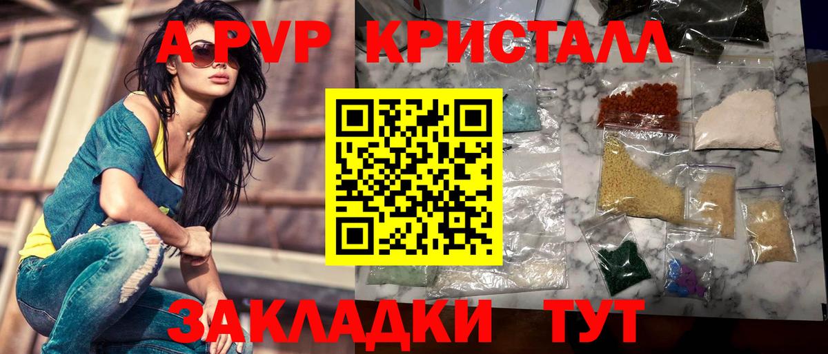 Альфа ПВП СК Киров