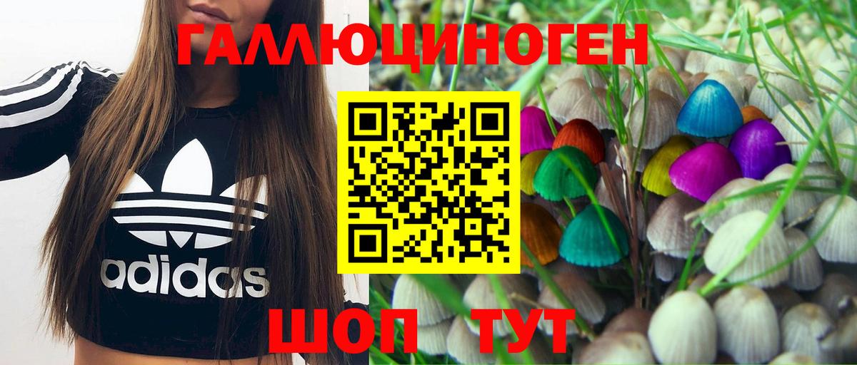 Псилоцибиновые грибы мухоморы Киров