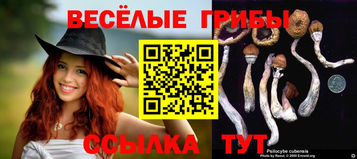 Галлюциногенные грибы Cubensis  Вход с VPN  Киров 